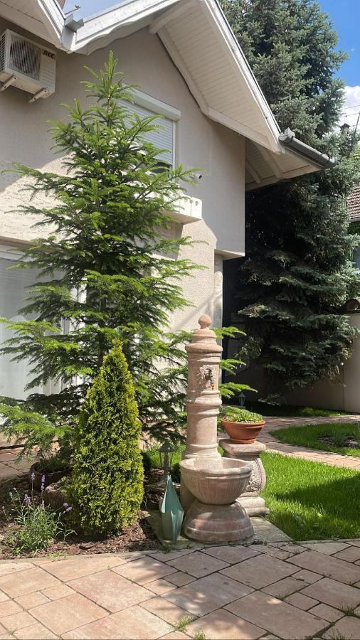 Апартаменты La Casa Tamaris Senta Экстерьер фото
